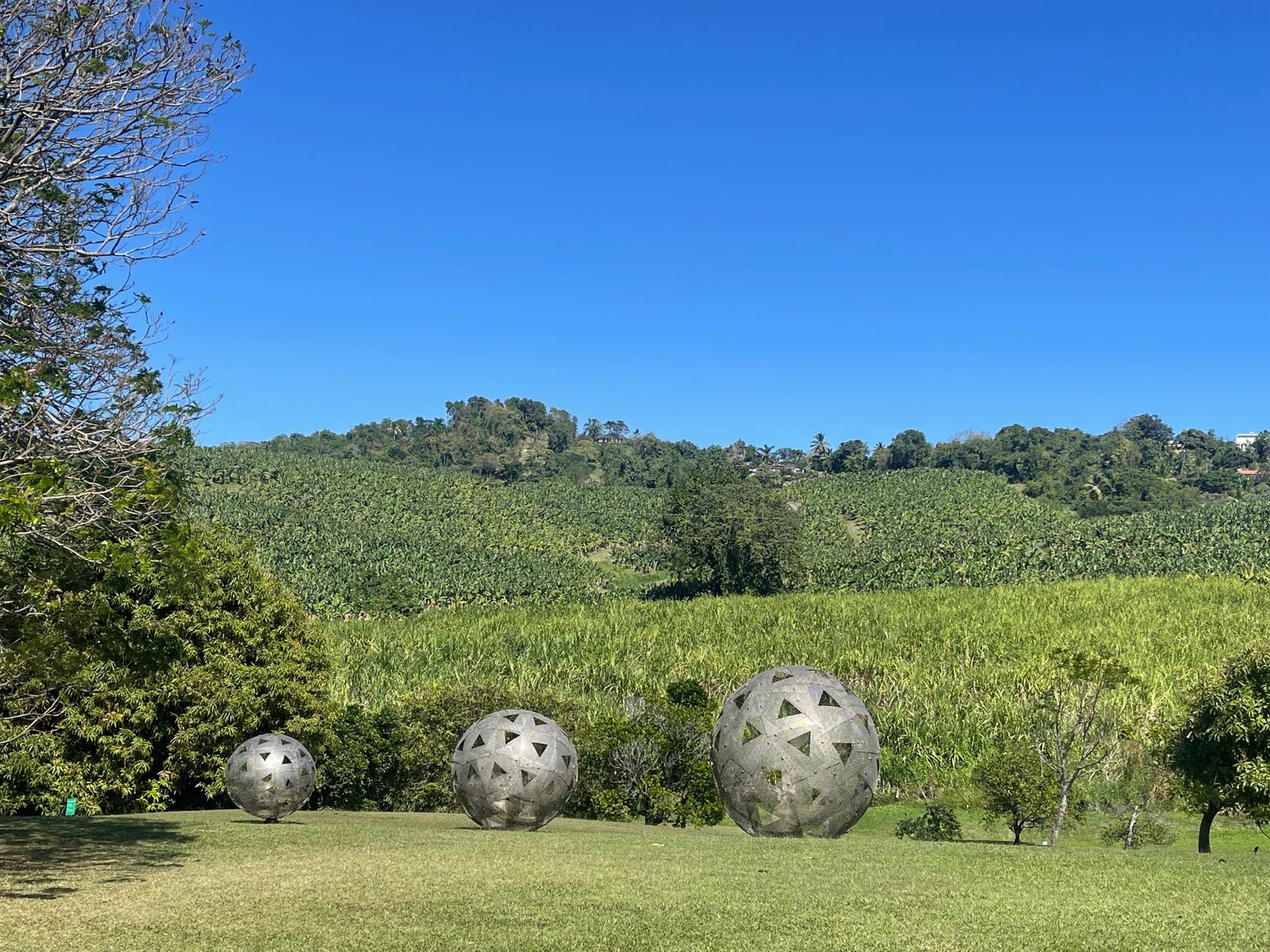 Art contemporain et champs de canne à l’Habitation Clément