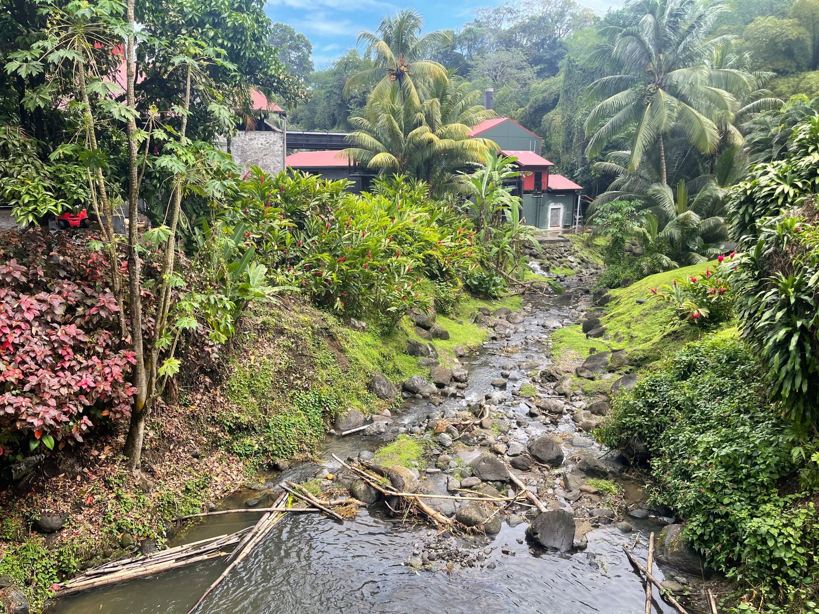 Rivière et végétation autour de la distillerie Rhum J.M