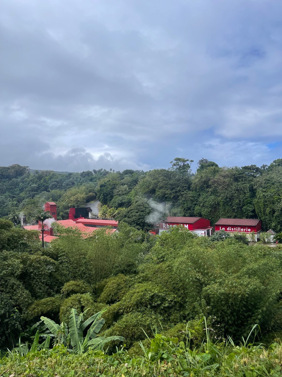 Vue sur la distillerie Rhum J.M dans la végétation du nord de la Martinique