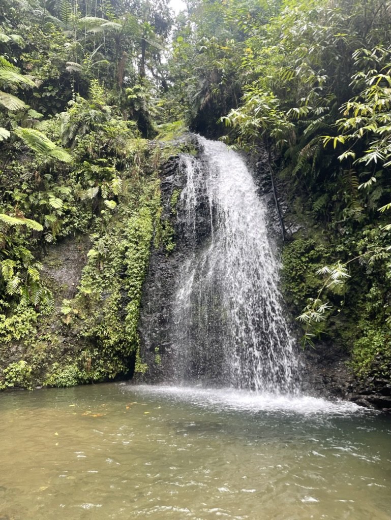 Cascade au cœur de la végétation tropicale en Martinique