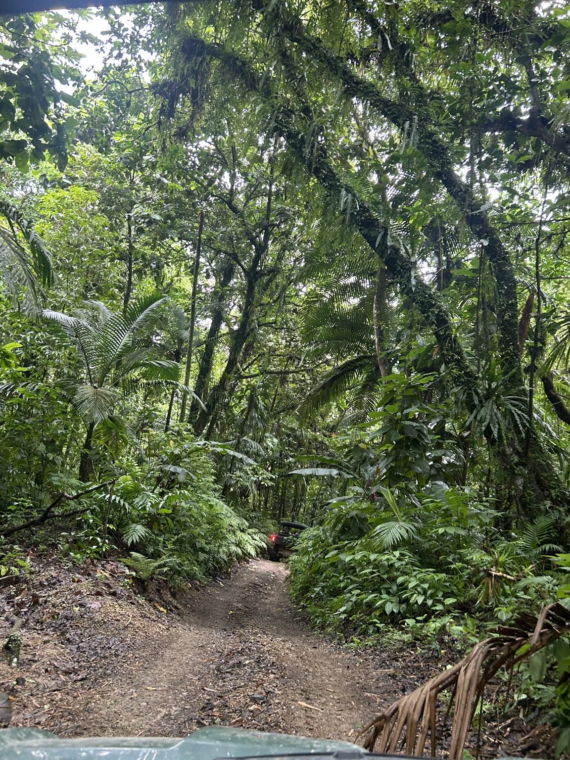 Sortie en buggy Trial Caraïbe dans le nord de la Martinique